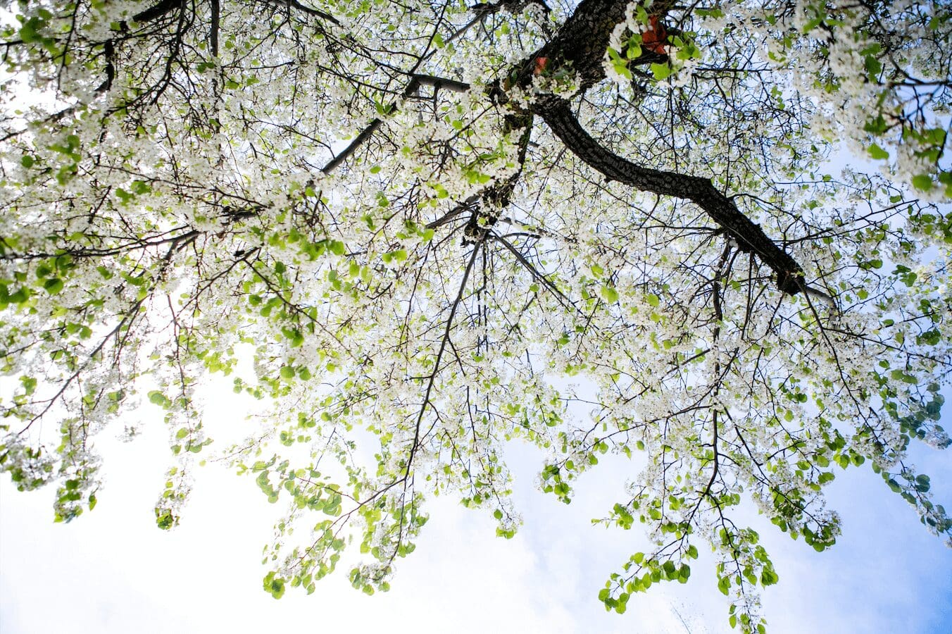 Why I’m Not Just a Coach or a Therapist